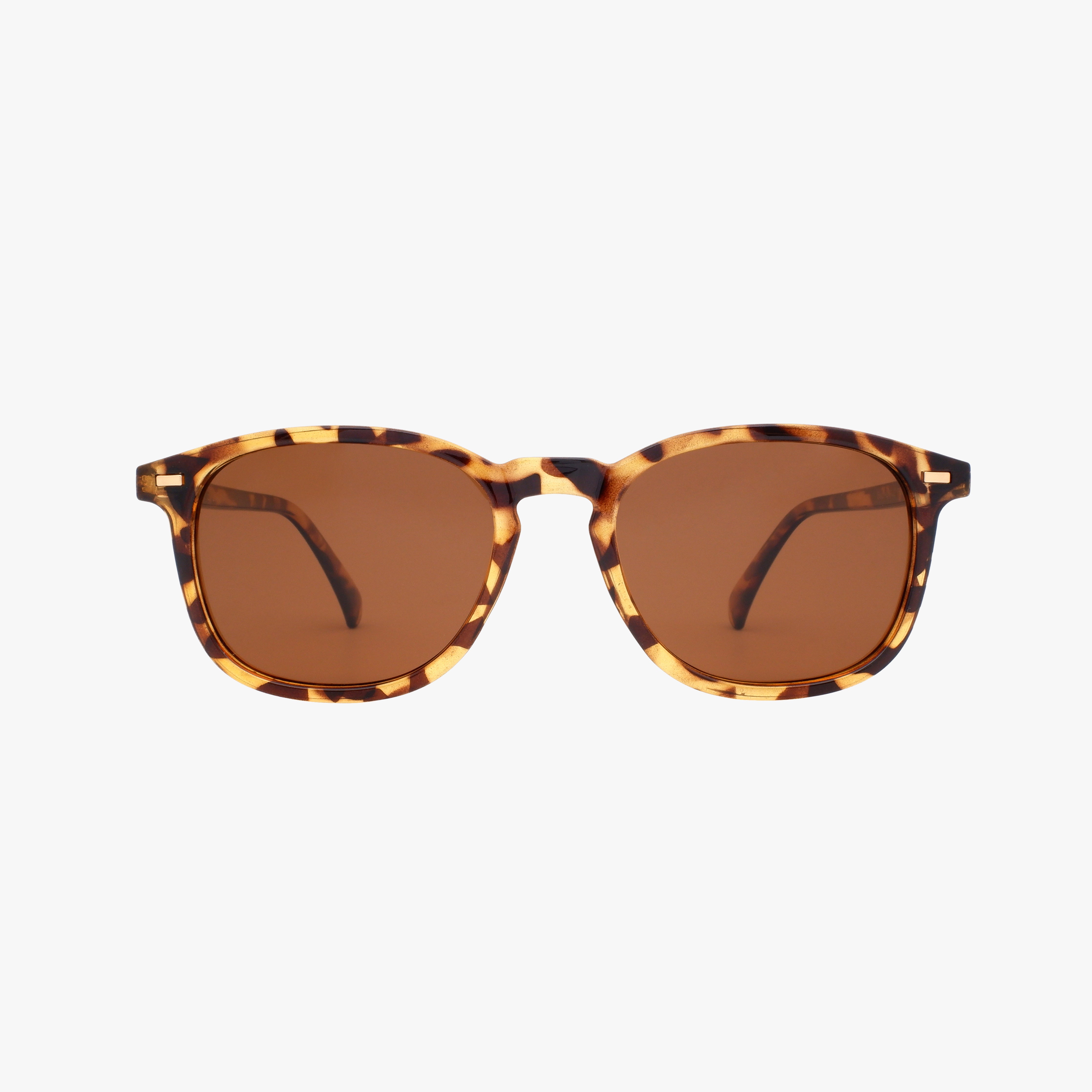 BEAN CLASSIC TORTOISE - POLARIZED